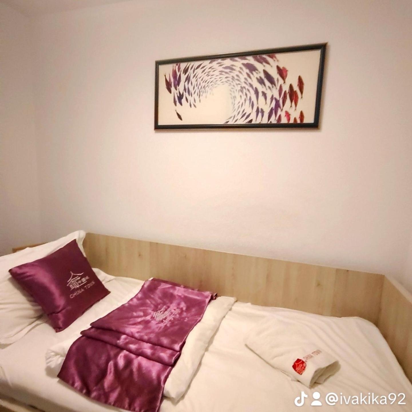 贝尔格莱德 China Town Prenociste酒店 外观 照片